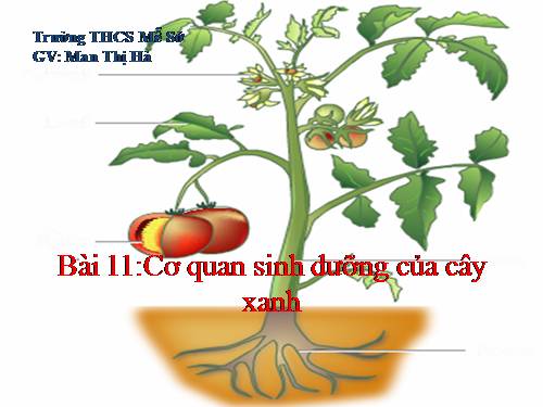 Bài 1. Đặc điểm của cơ thế sống