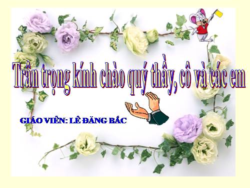 Bài 20. Cấu tạo trong của phiến lá