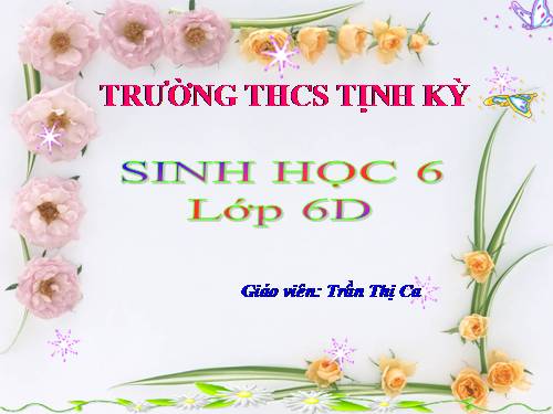 Bài 19. Đặc điểm bên ngoài của lá