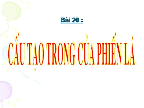 Bài 20. Cấu tạo trong của phiến lá