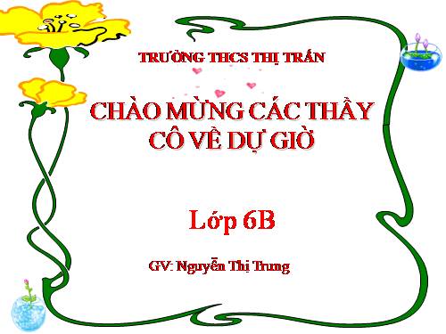 Bài 15. Cấu tạo trong của thân non
