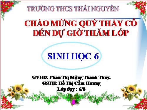 Bài 37. Tảo