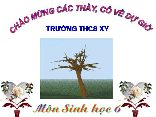 Bài 17. Vận chuyển các chất trong thân