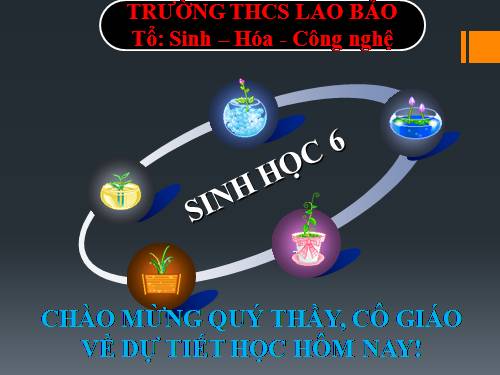 Bài 17. Vận chuyển các chất trong thân