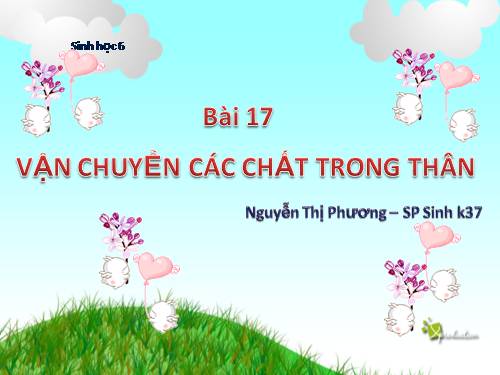 Bài 17. Vận chuyển các chất trong thân