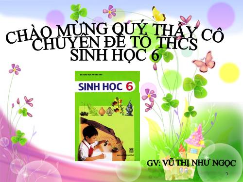 Bài 13. Cấu tạo ngoài của thân