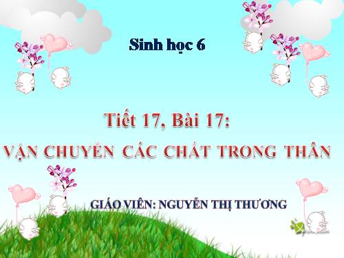 Bài 17. Vận chuyển các chất trong thân