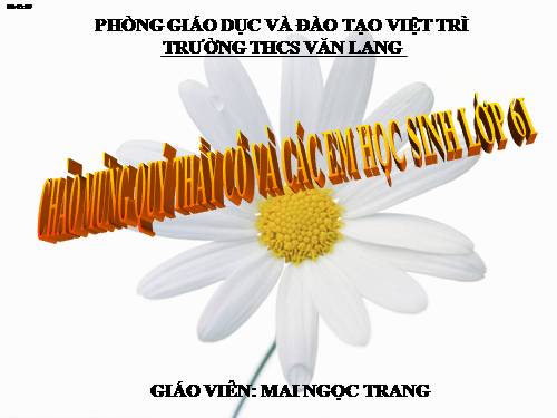 Bài 10. Cấu tạo miền hút của rễ