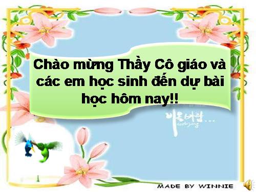 Bài 47. Thực vật bảo vệ đất và nguồn nước