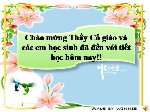 Bài 40. Hạt trần - Cây thông