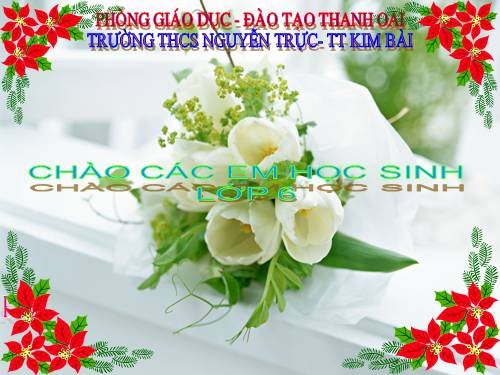 Bài 11. Sự hút nước và muối khoáng của rễ