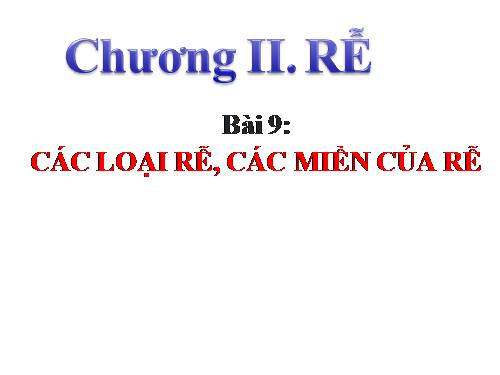 Bài 9. Các loại rễ, các miền của rễ