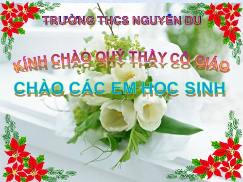 Bài 43. Khái niệm sơ lược về phân loại thực vật