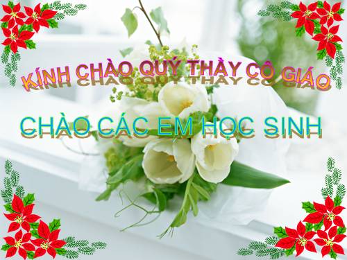 Bài 8. Sự lớn lên và phân chia của tế bào