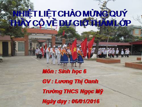 Bài 31. Thụ tinh, kết quả và tạo hạt