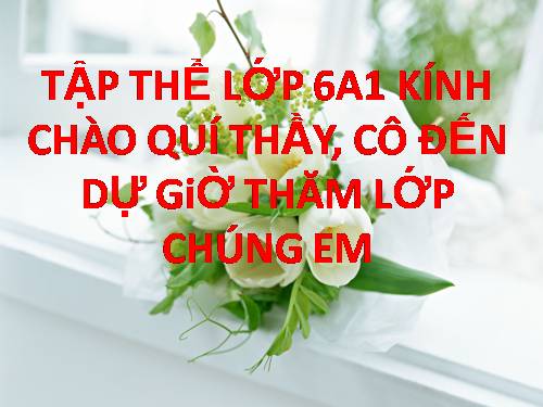 Bài 11. Sự hút nước và muối khoáng của rễ