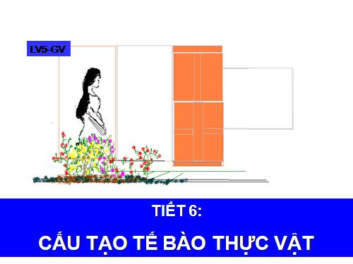 Bài 7. Cấu tạo tế bào thực vật