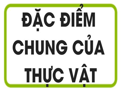 Bài 3. Đặc điểm chung của thực vật