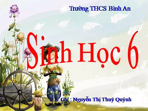 Bài 4. Có phải tất cả thực vật đều có hoa?