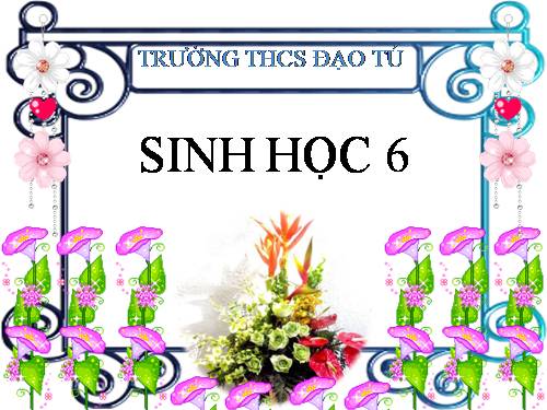 Bài 3. Đặc điểm chung của thực vật