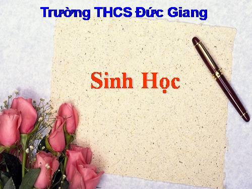 Bài 50. Vi khuẩn