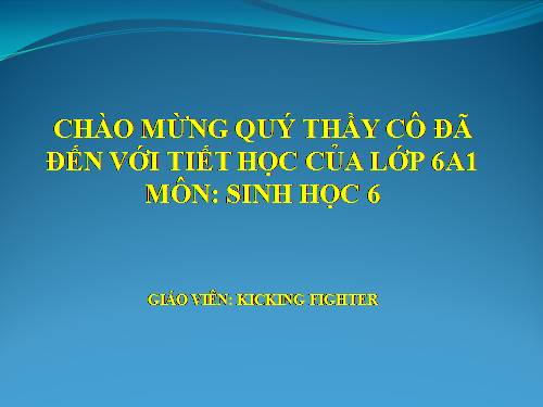 Bài 49. Bảo vệ sự đa dạng của thực vật