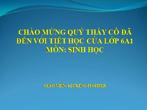 Bài 43. Khái niệm sơ lược về phân loại thực vật