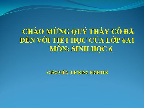 Bài 32. Các loại quả