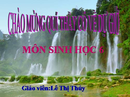 Bài 49. Bảo vệ sự đa dạng của thực vật