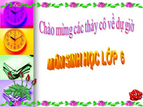 Bài 51. Nấm