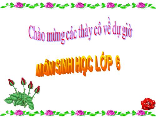 Bài 51. Nấm