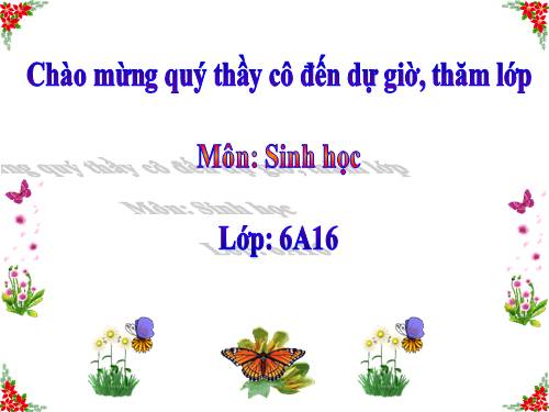 Bài 19. Đặc điểm bên ngoài của lá