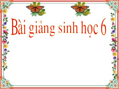 Ôn tập - bài tập