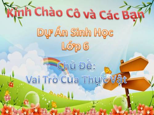 Bài 48. Vai trò của thực vật đối với động vật và đối với đời sống con người