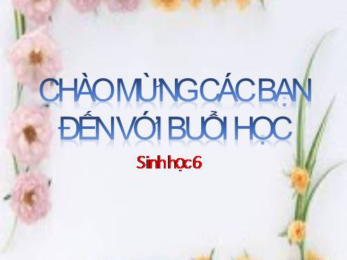 Bài 50. Vi khuẩn