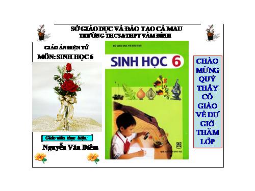 Bài 48. Vai trò của thực vật đối với động vật và đối với đời sống con người