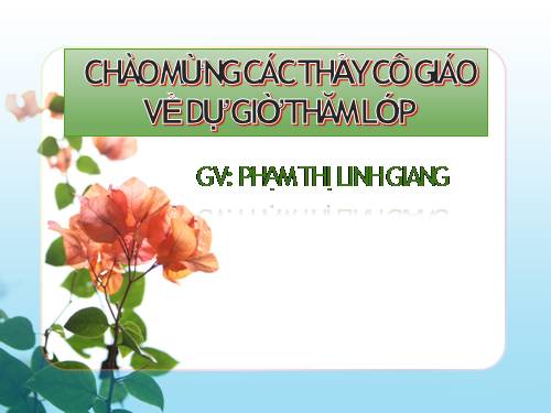 Bài 48. Vai trò của thực vật đối với động vật và đối với đời sống con người