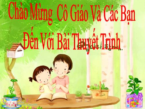 Bài 47. Thực vật bảo vệ đất và nguồn nước