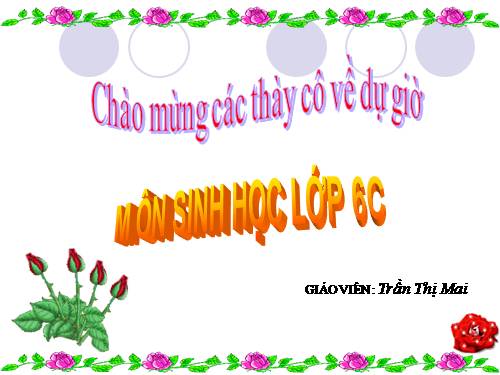 Bài 45. Nguồn gốc cây trồng