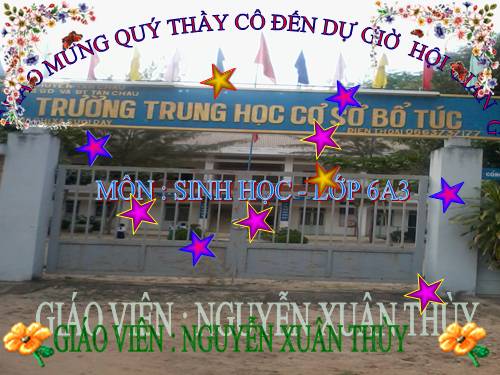 Bài 47. Thực vật bảo vệ đất và nguồn nước