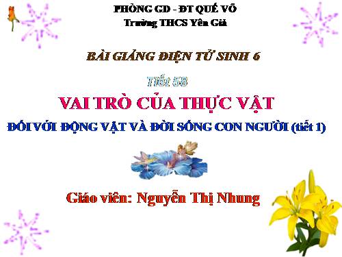 Bài 48. Vai trò của thực vật đối với động vật và đối với đời sống con người