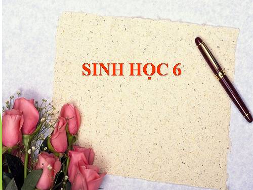 Bài 47. Thực vật bảo vệ đất và nguồn nước