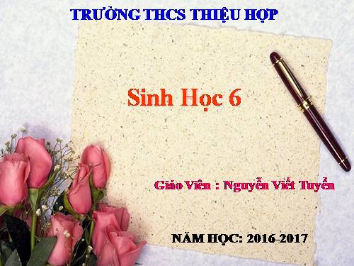 Bài 49. Bảo vệ sự đa dạng của thực vật