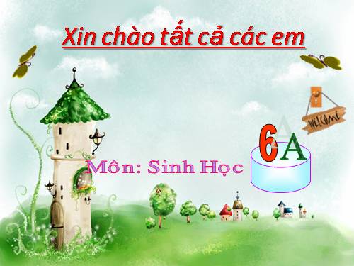 Bài 46. Thực vật góp phần điều hoà khí hậu