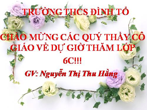 Bài 46. Thực vật góp phần điều hoà khí hậu