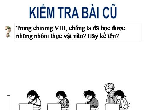 Bài 43. Khái niệm sơ lược về phân loại thực vật