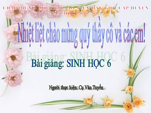 Bài 46. Thực vật góp phần điều hoà khí hậu