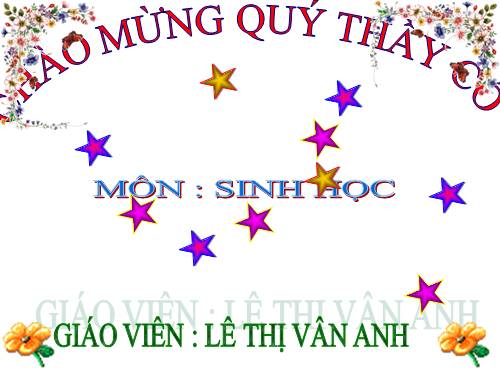 Bài 48. Vai trò của thực vật đối với động vật và đối với đời sống con người