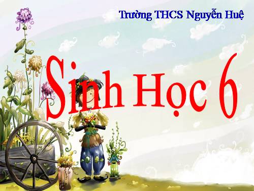 Bài 4. Có phải tất cả thực vật đều có hoa?