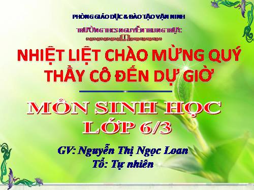 Bài 39. Quyết - Cây dương xỉ